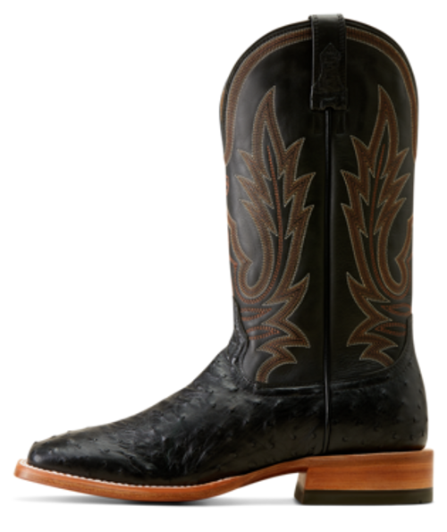 Showboat Full Quill