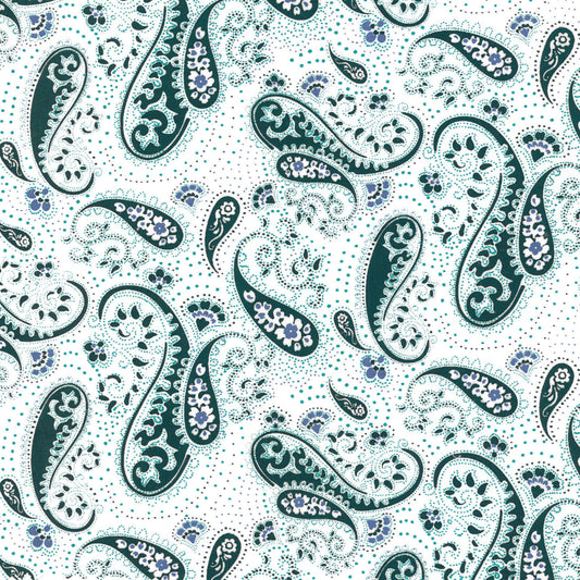 Teal Paisley George Strait