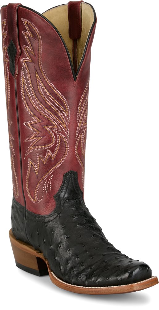 Zaire black ostrich