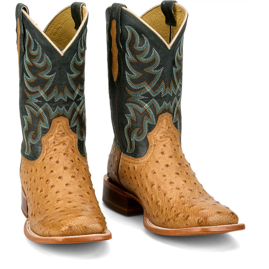 Blaine Ostrich Requil